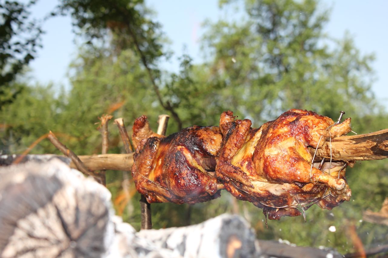 Perfectly roasted chickens over an open fire with a lush forest backdrop.